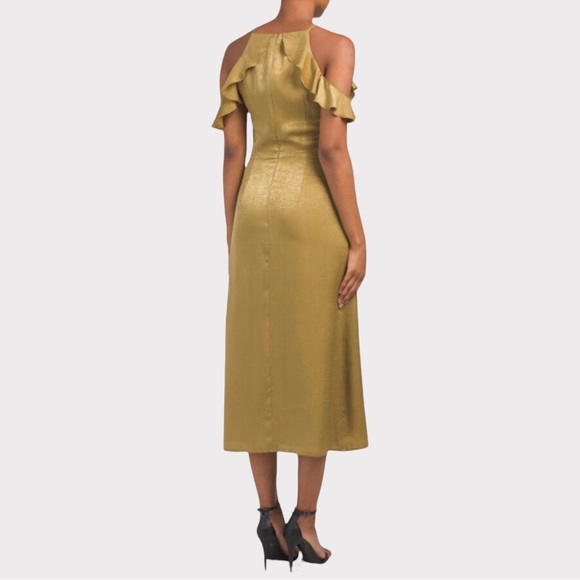 NWT Donna Mizani Cocktail Dress Alianna Sleeveless A-Line Midi Women's Small - Picture 2 of 12